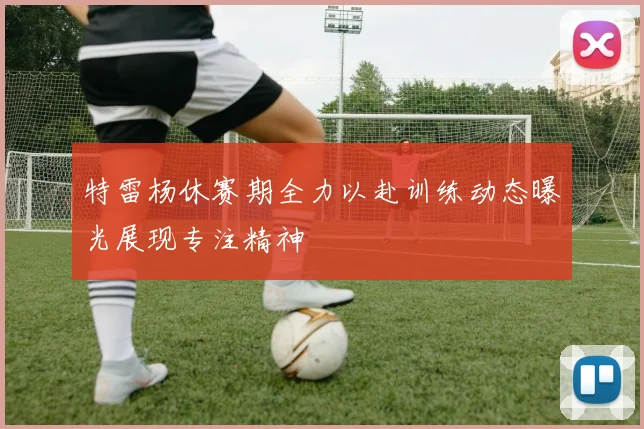 特雷杨休赛期全力以赴训练动态曝光展现专注精神