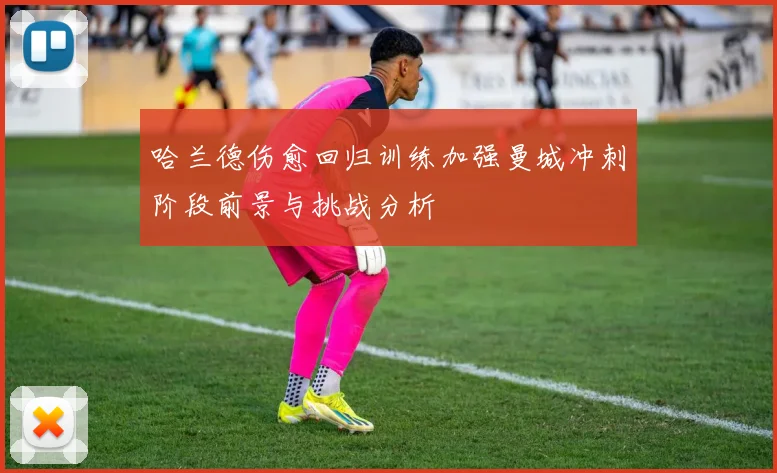哈兰德伤愈回归训练加强曼城冲刺阶段前景与挑战分析